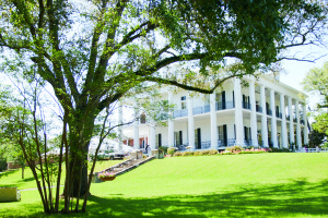 View More: http://carolinejoy.pass.us/nicole-abhay