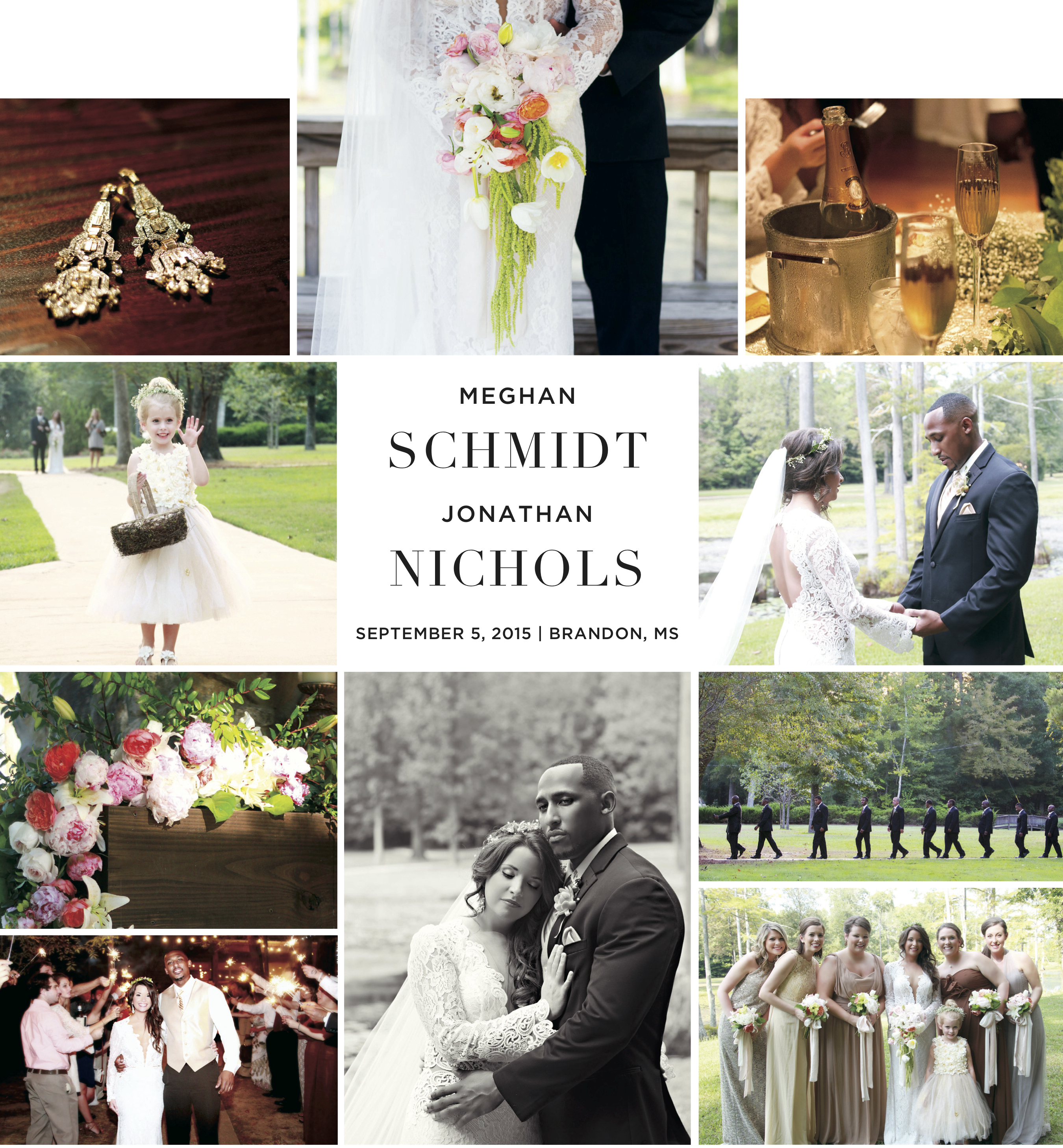Schmidt_Nicholls_vol28