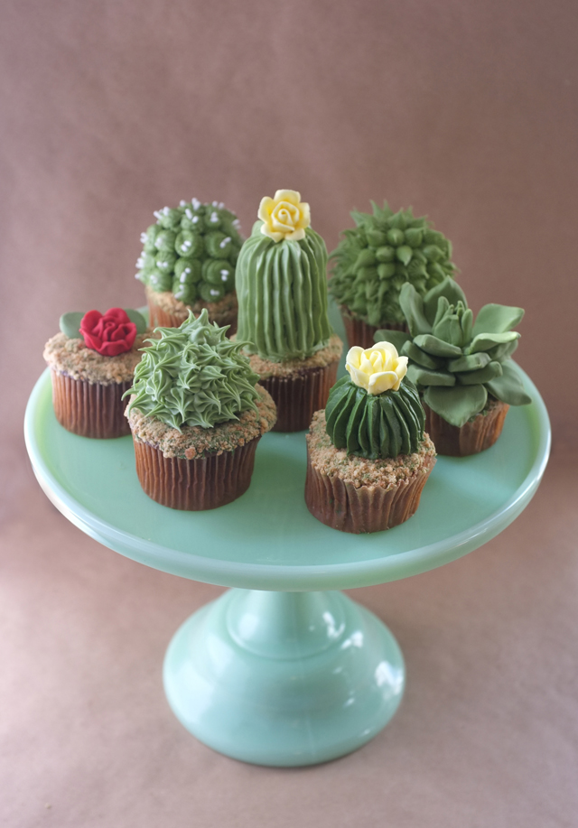 http://alanajonesmann.com/2013/04/diy-house-plant-cupcakes/