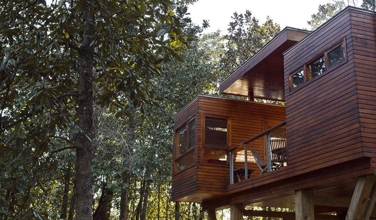 Modern treehouses at Coldwater Gardens in Florida are perfect for a wedding weekend! 